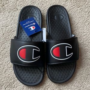 NIB Champion Slides